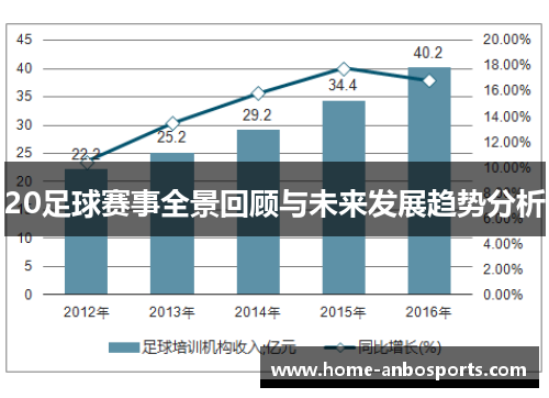 20足球赛事全景回顾与未来发展趋势分析